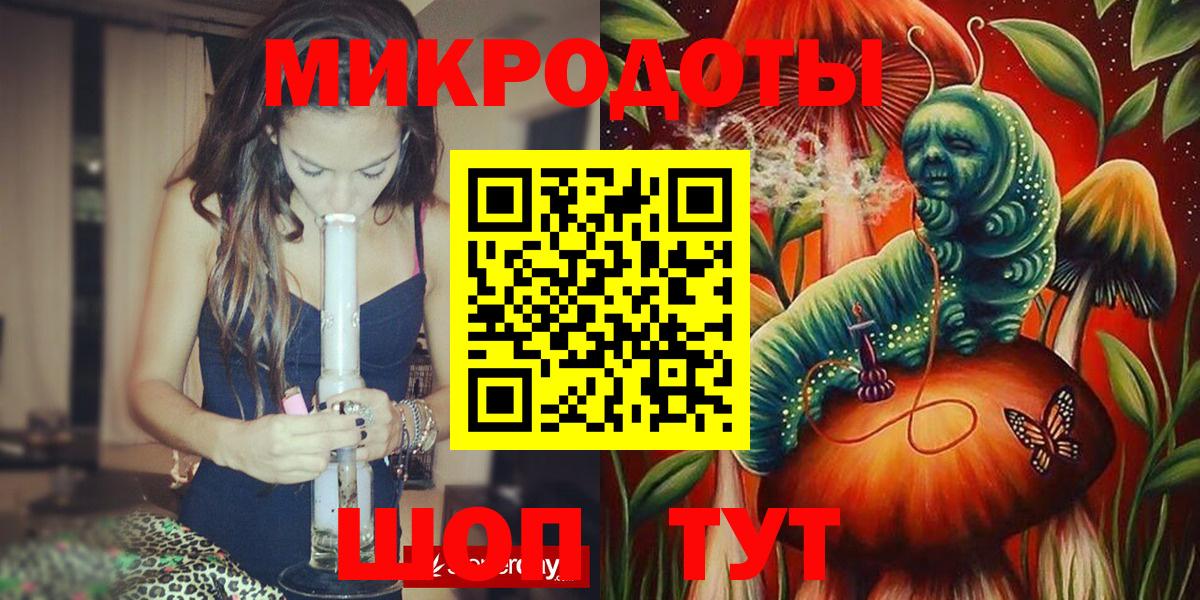 Псилоцибиновые грибы Psilocybe Солнечногорск