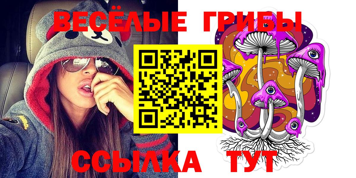 Солнечногорск  Галлюциногенные грибы Psilocybine cubensis  Вход с VPN  наркошоп  Псилоцибиновые грибы MAGIC MUSHROOMS 